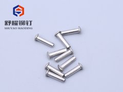 圓頭中空不銹鋼鉚釘 (4)