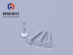 平頭鋁鉚釘 (2)