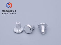 平頭束尾中空鋁鉚釘
