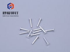 平頭中空鋁鉚釘 (2)
